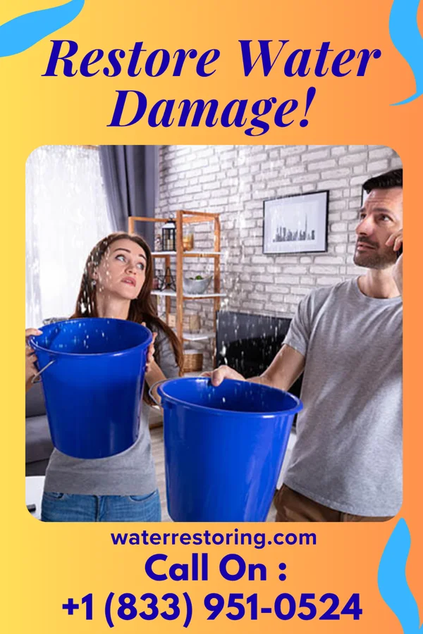 water restoration Pinnacle Water Mitigation Inc Borup