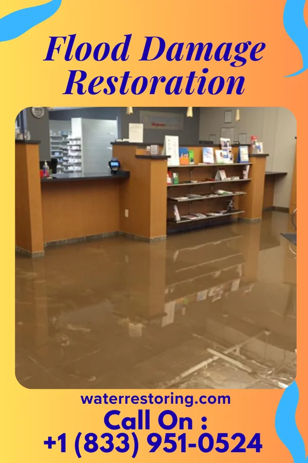 Flood Damage Restoration in Borup, MN
