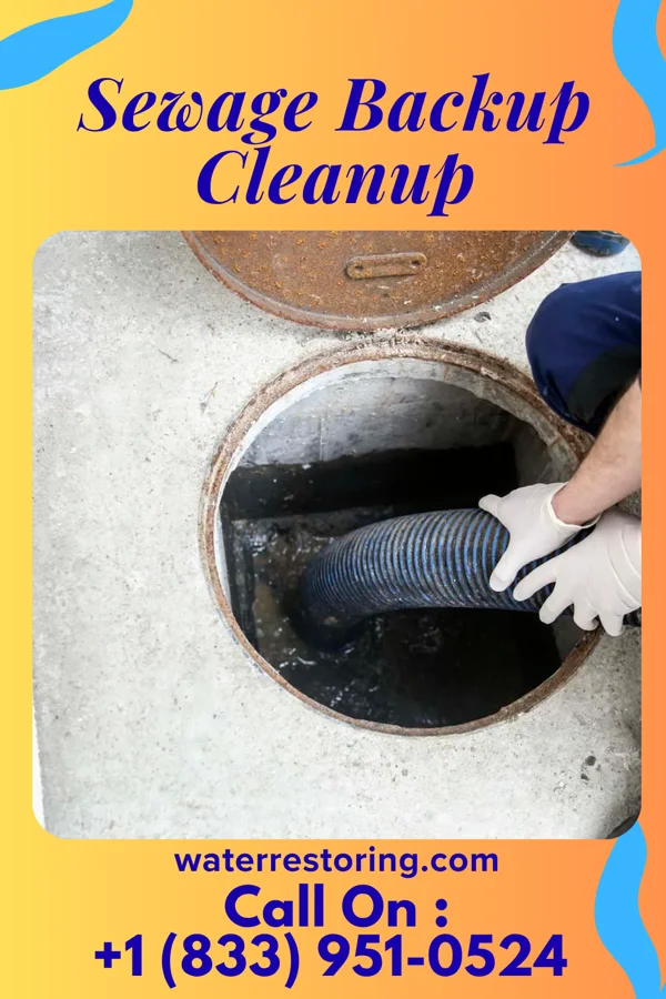 Sewage Backup Cleanup in Borup, MN