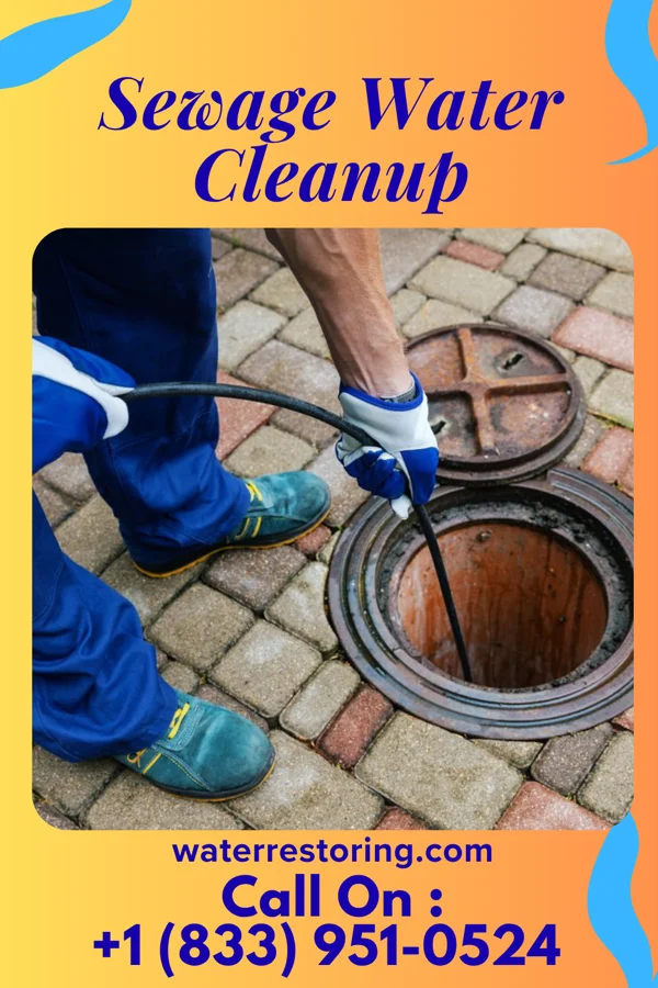 Sewage Water Cleanup in Borup, MN
