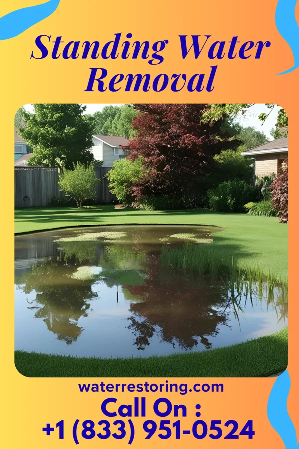 Standing Water Removal in Borup, MN